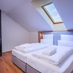 Magnetit Sumava Železná Ruda