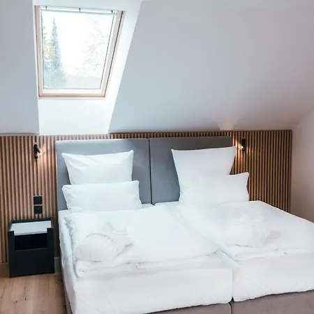 Magnetit Sumava Hotell 4*