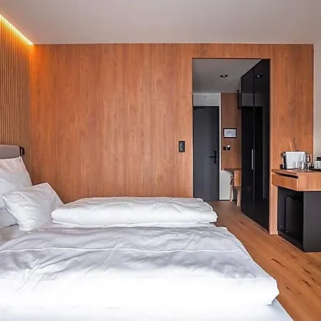 Magnetit Sumava Železná Ruda