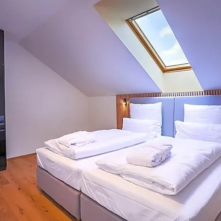 Magnetit Sumava Hotel 4*