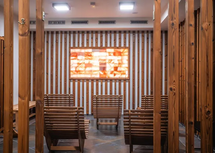 Magnetit šumava Hotel Železná Ruda