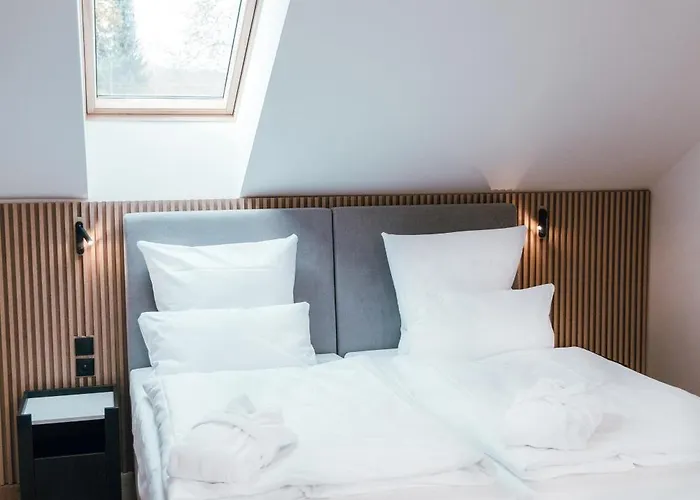 Magnetit Sumava Otel 4*